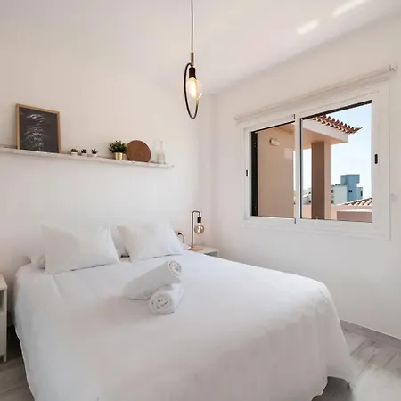 公寓 Atico 3 Palmeras Albatros *